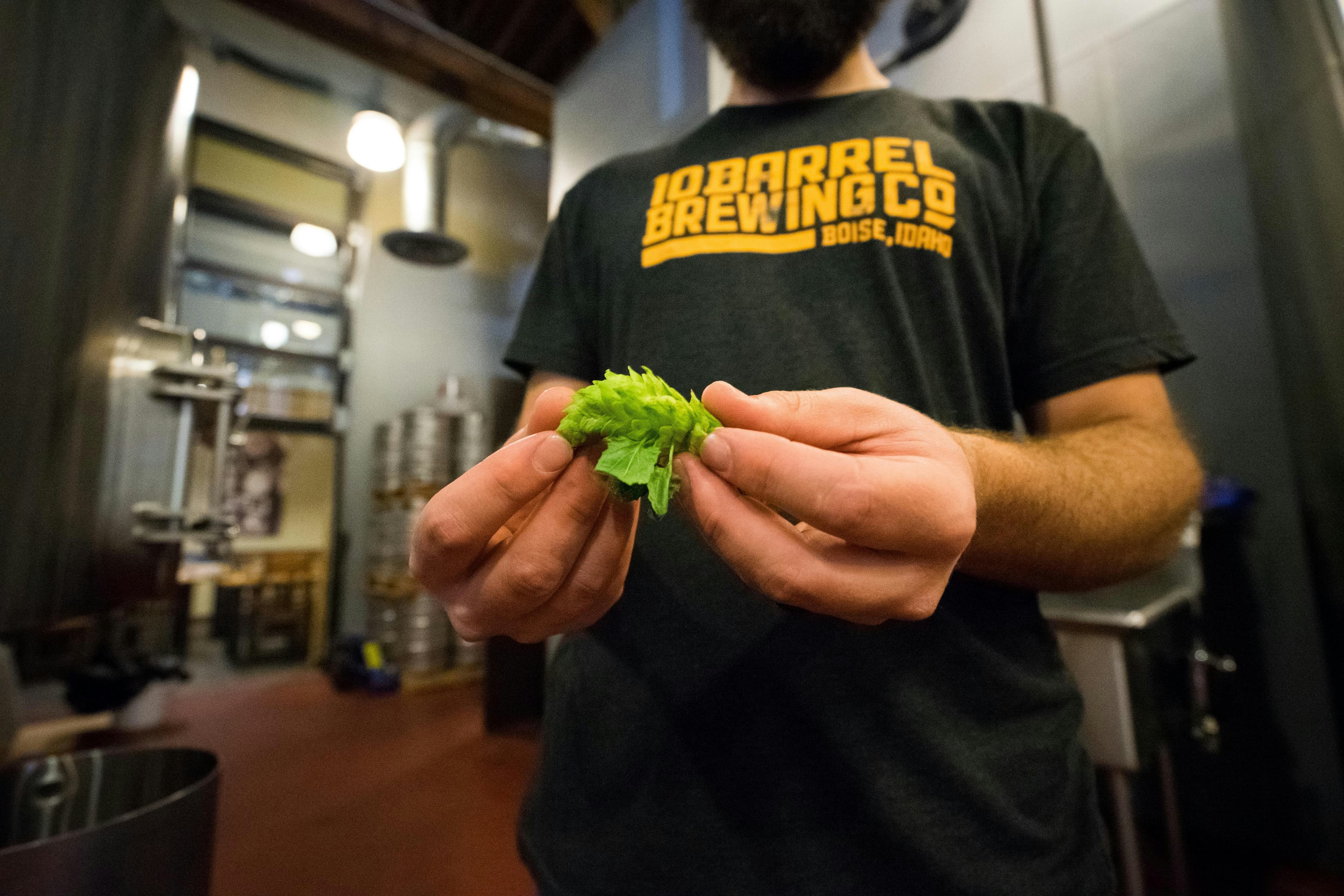 Summit Brewery