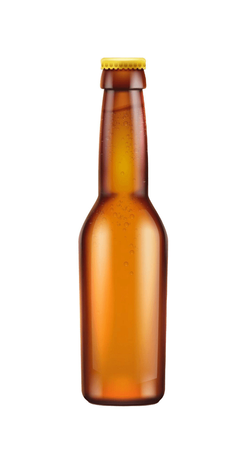 Beer Bottle